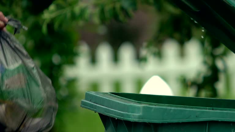 Trusted Carleton, MI Junk Removal Services Experts
